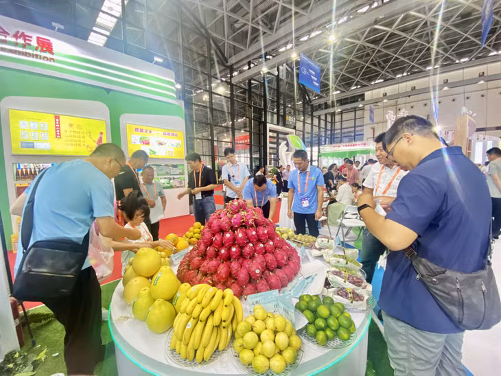 Gian hàng Việt Nam thu hút khách tham quan tại hội chợ Trung Quốc – Asean lần thứ 20.