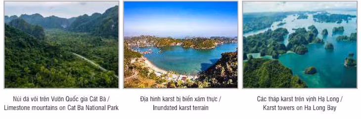 Vịnh Hạ Long - Quần đảo Cát Bà được UNESCO công nhận là Di sản Thiên nhiên Thế giới thuộc địa bàn hai tỉnh, thành phố đầu tiên ở Việt Nam ảnh 7