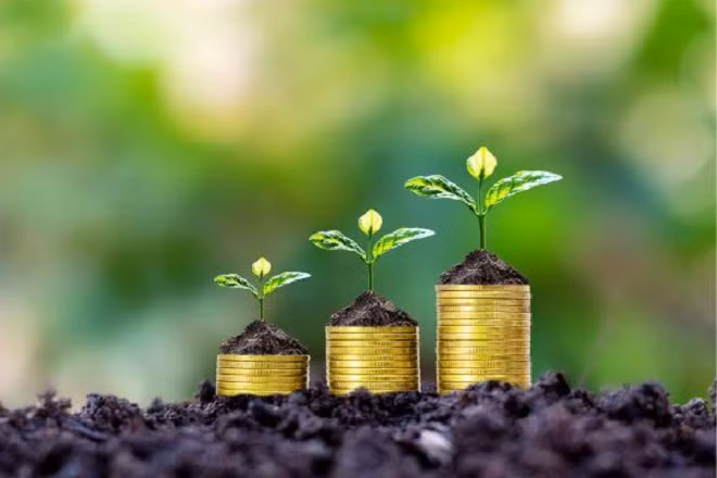Đầu tư là cách để đạt tự do tài chính nhanh hơn.