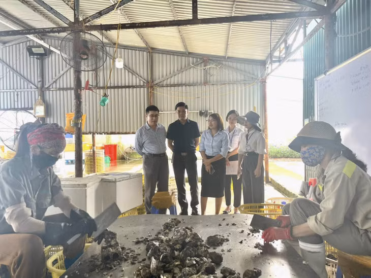 Đoàn cán bộ Sở KH&amp;CN khảo sát tại Nhà máy Chế biến Hàu Vân Đồn, Công ty TNHH Đầu tư Phát triển Sản xuất Hạ Long (BIM Group)
