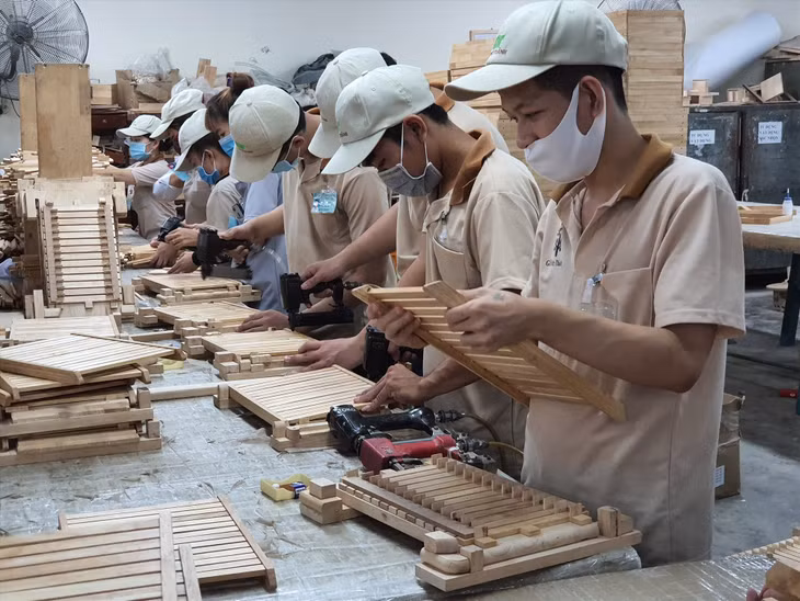 Ảnh minh hoạ: Nam Dương.