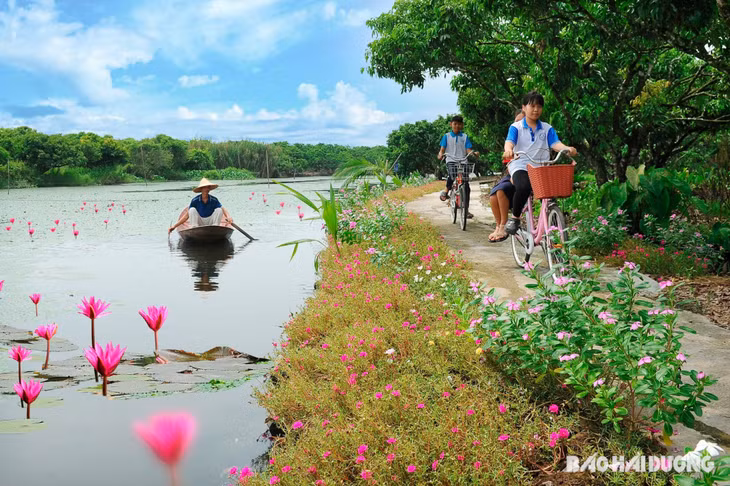 Đường vào khu du lịch sinh thái Đồng Mẩn được trồng nhiều loài hoa khoe sắc rực rỡ. Dưới sông là những dải hoa súng đẹp đến nao lòng.