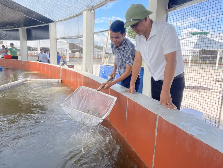 Mô hình nuôi tôm công nghệ của anh Đặng Bá Mạnh, xã Cộng Hòa (TP Cẩm Phả) cho thu nhập từ 60-80 tỷ đồng/năm.