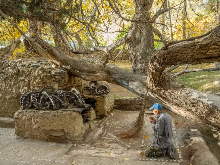 Ngôi đền nằm trong dãy núi Pamir, Tajikistan và được gìn giữ bởi cộng đồng người Wakhi bản địa. Nơi đây giàu truyền thống thuyết vật linh (animism), Hỏa giáo (Zoroastrianism) và Phật giáo (Buddhism). Trong ảnh là cảnh một cây cổ thụ ngã đổ xuống ngôi đền. Người Wakhi không dọn dẹp mà giữ nguyên, trang trí thêm sừng của dê núi và cừu theo phong tục địa phương. Ảnh: Matthieu Paley.