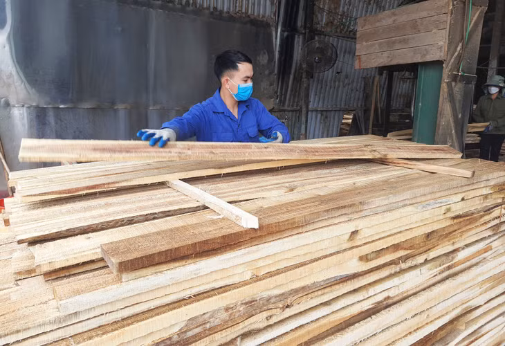 Sản phẩm gỗ được thu hoạch từ các cánh rừng có chứng chỉ rừng, có thể xuất khẩu sang thị trường thế giới. (Ảnh: Chế biến gỗ tại Công ty TNHH MTV Lâm nghiệp Tiên Yên). Ảnh: Việt Hoa