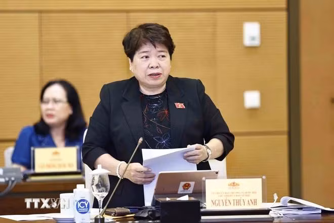 Chủ nhiệm Ủy ban Xã hội của Quốc hội Nguyễn Thúy Anh trình bày tóm tắt báo cáo thẩm tra. (Ảnh: Doãn Tấn/TTXVN)