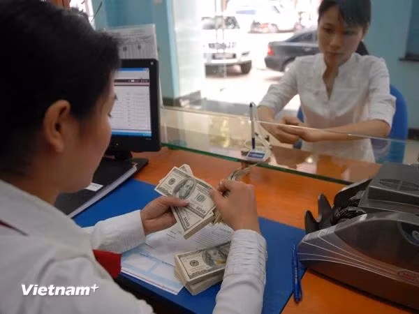 Nếu tăng lãi suất tiền gửi ngoại tệ thì người nắm giữ ngoại tệ vừa được lợi về biến động tỷ giá, vừa được lãi suất tiền gửi, gây tâm lý chuyển dịch từ VND sang ngoại tệ, thị trường có nguy cơ rủi ro trở lại. (Ảnh: Vietnam+)