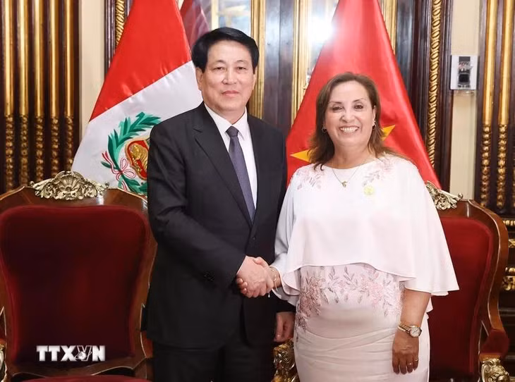 Tổng thống Peru Dina Ercilia Boluarte Zegarra chủ trì lễ đón Chủ tịch nước Lương Cường thăm chính thức Peru. (Ảnh: Lâm Khánh/TTXVN)