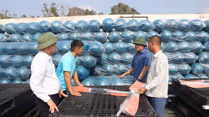 Lãnh đạo Cục Thủy sản (Bộ NN&amp;PTNT) cùng đại diện Sở NN&amp;PTNT, Hội Nghề cá tỉnh hỗ trợ phao, thuyền cho ngư dân huyện Vân Đồn bị thiệt hại sau bão. Ảnh do đơn vị cung cấp