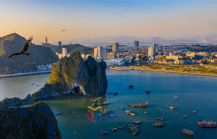 : Sắc vàng ven núi