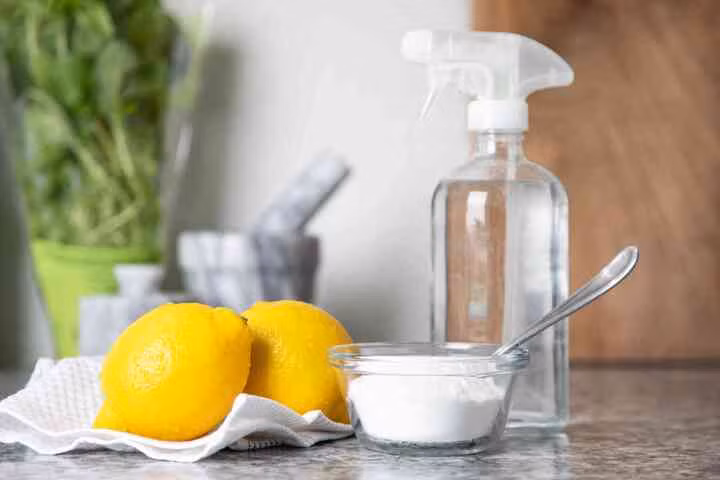 Bạn có thể tự làm nước rửa bát bằng chanh và giấm. (Ảnh: The Spruce)