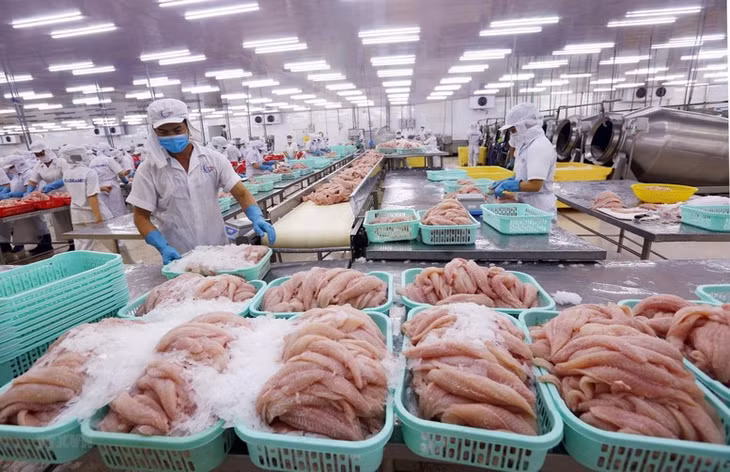 Tổng sản lượng thủy sản 10 tháng đầu năm 2024 tăng 2,5% so với cùng kỳ năm ngoái