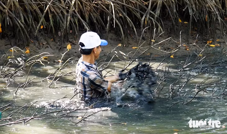 Chọi sình làm cho nước đục, cá không thấy đường chạy nên sẽ trốn vào các cây chà, rất dễ mò bắt