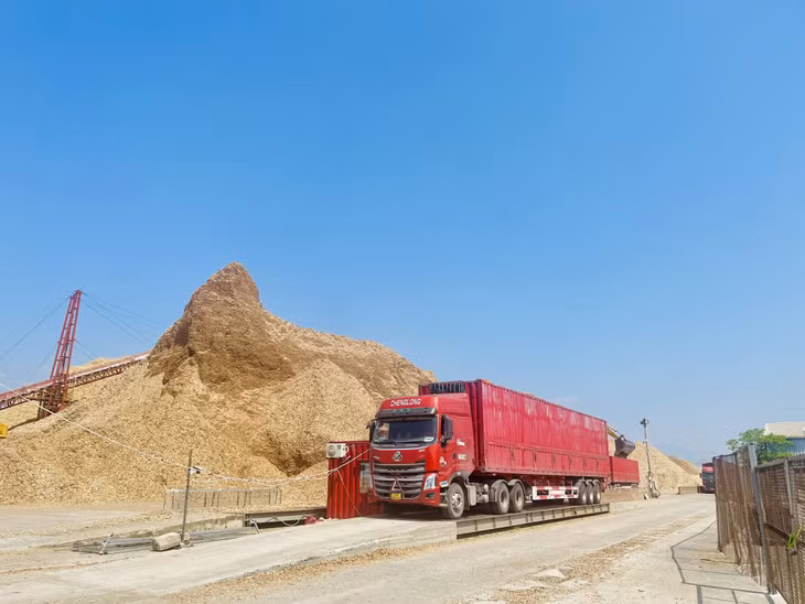 Bốc xếp dăm gỗ tại KCN Cái Lân (TP Hạ Long).