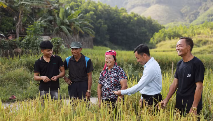 Người dân xã Hải Sơn (TP Móng Cái) vui mừng trước mùa vàng bội thu.