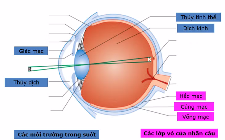Bệnh lý về mắt là nguyên nhân gây mù lòa ở trẻ nếu không được điều trị kịp thời.