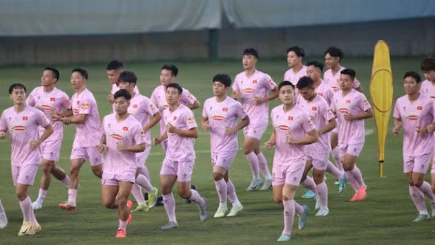 Đội tuyển Việt Nam không thi đấu giao hữu trong dịp FIFA Days tháng 11.