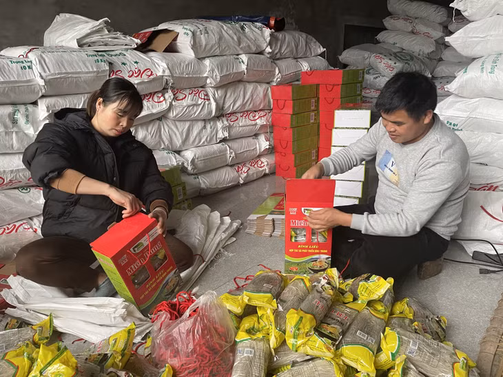 Thu nhập của người dân xã Húc Động (huyện Bình Liêu) khởi sắc hơn nhờ sản phẩm miến dong.