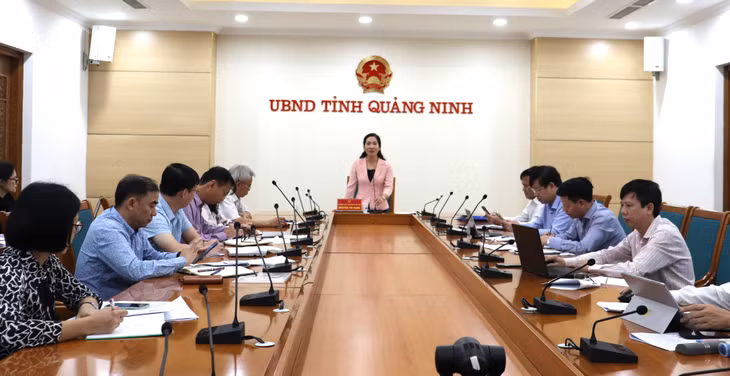 Đồng chí Nguyễn Thị Hạnh, Phó Chủ tịch UBND tỉnh phát biểu tại cuộc họp.