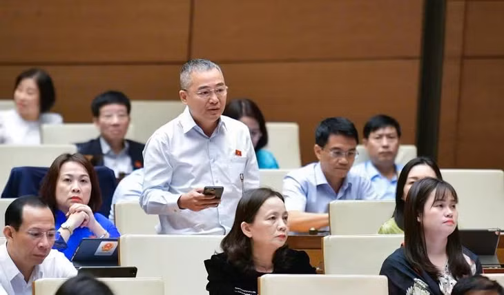 Đại biểu Nguyễn Lân Hiếu.