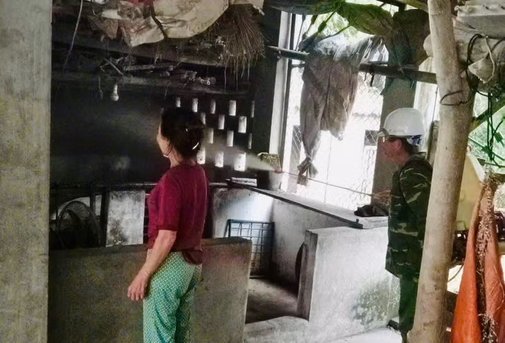 Chăn