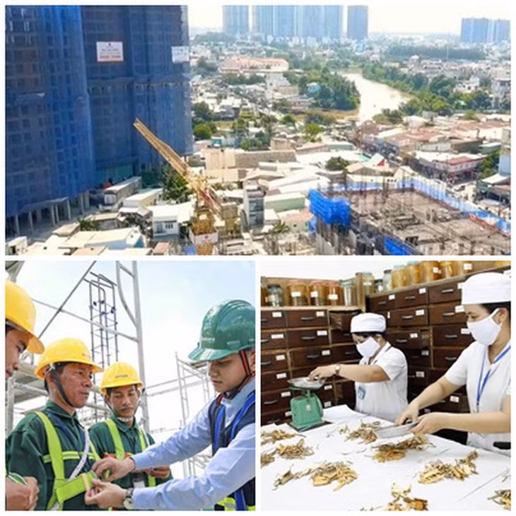 Chỉ đạo, điều hành của Chính phủ, Thủ tướng Chính phủ nổi bật tuần từ 26/10-1/11/2024.