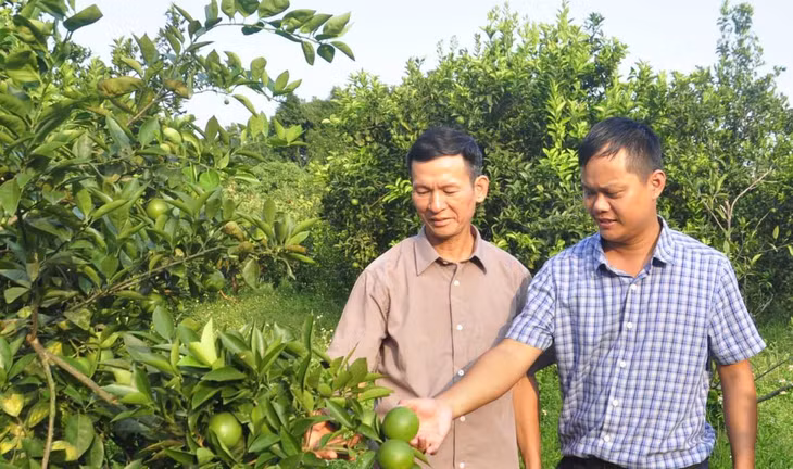 Lãnh đạo HND huyện Đầm Hà (bên phải) trao đổi với hội viên, nông dân về phát triển mô hình kinh tế tập thể.