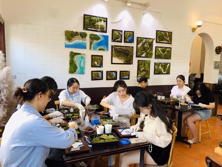 Workshop làm tranh rêu tại TP Hạ Long thu hút nhiều người tham gia, đặc biệt là các bạn trẻ.