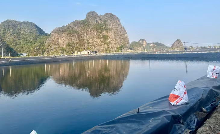 Công ty CP Nhật Long (TP Hạ Long) đã sớm được thả giống tôm vụ đông.
