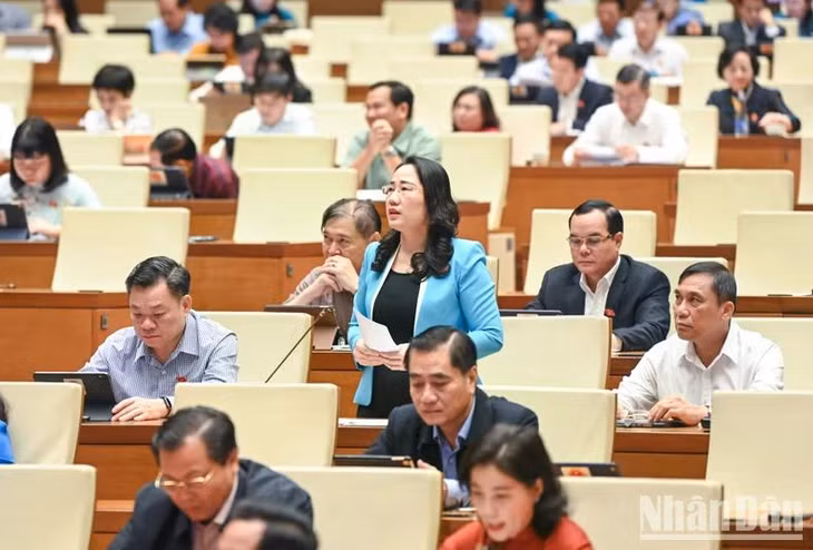 Đại biểu Nguyễn Thị Thủy. (Ảnh: DUY LINH)