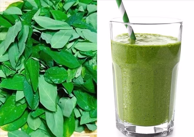 Với cách nấu đúng và liều lượng hợp lý, nước rau ngót có thể mang lại nhiều lợi ích vượt trội cho sức khỏe tổng thể. Ảnh đồ họa: Hải Ngọc.