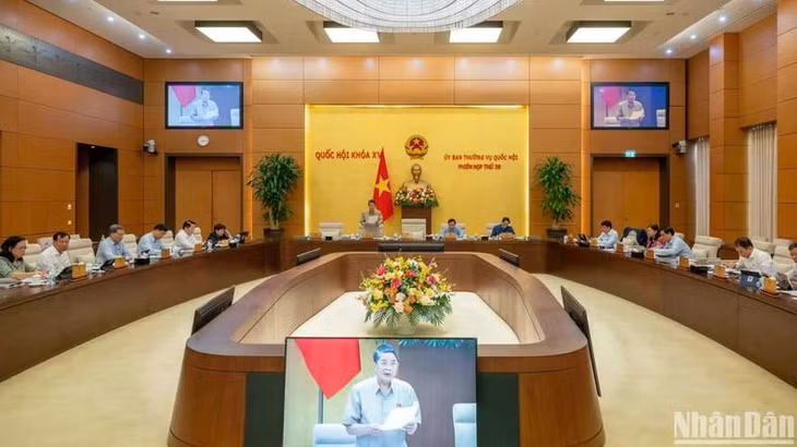Phó Chủ tịch Quốc hội Nguyễn Đức Hải phát biểu tại phiên họp. (Ảnh: DUY LINH)