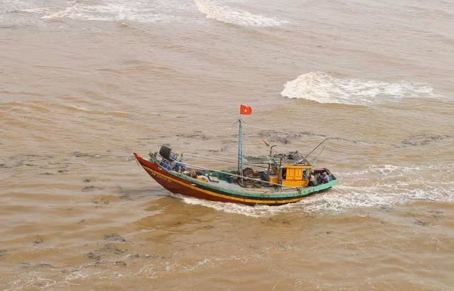 Ảnh minh họa. (Ảnh: Xuân Tiến/TTXVN)