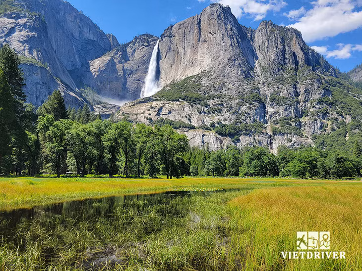 Vườn Quốc Gia Yosemite - Tour du lịch Mỹ 12 ngày