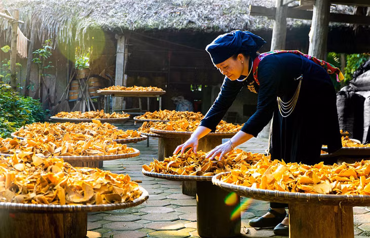 Trên ảnh, người dân trong làng đang phơi măng khô để làm thực phẩm phục vụ du khách. Ảnh: Thaihai
