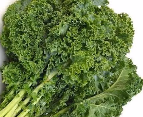 Rau cải xoăn là một trong những lựa chọn cho bữa sáng để hỗ trợ bổ sung canxi. Ảnh: Kiều Vũ