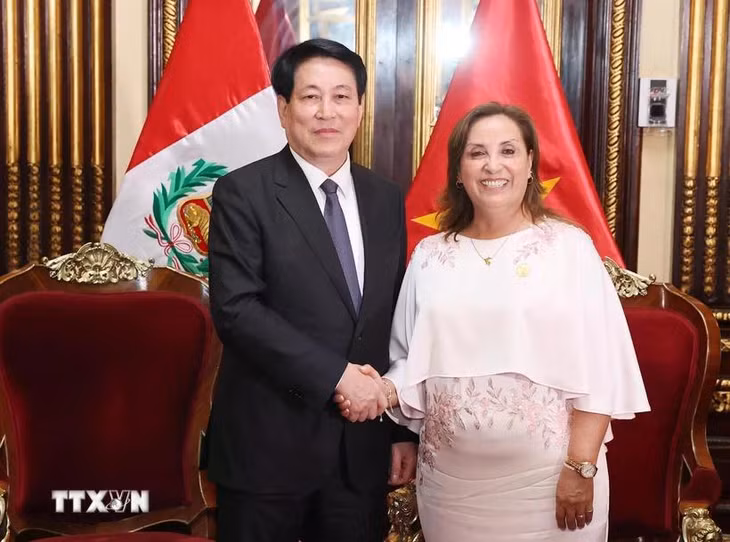 Chủ tịch nước Lương Cường và Tổng thống Peru Dina Ercilia Boluarte Zegarr. (Ảnh: Lâm Khánh/TTXVN)