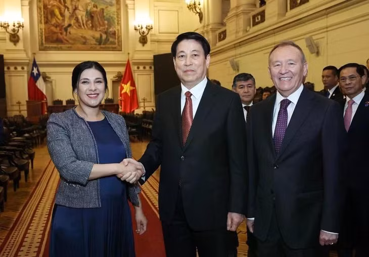 Chủ tịch nước Lương Cường hội kiến Chủ tịch Hạ viện Chile, Chủ tịch nhóm Nghị sỹ Hữu nghị Chile-Việt Nam, bà Karol Aída Cariola Oliva. (Ảnh: Lâm Khánh/TTXVN)