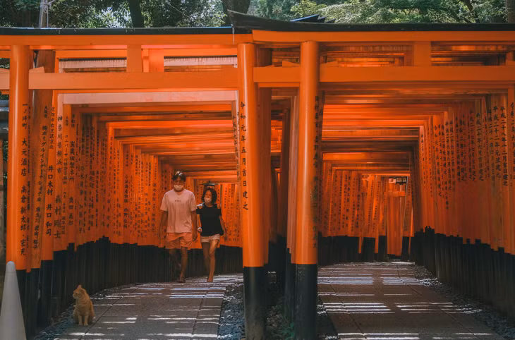 Kyoto vắng vẻ những ngày tháng bảy ảnh 2