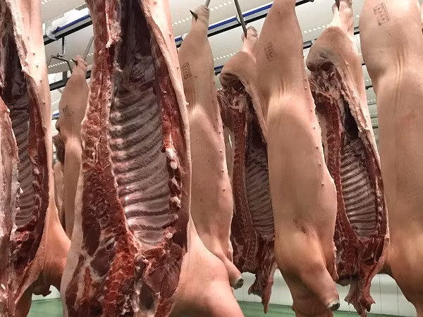 Giá lợn hơi phải trên 60.000 đồng/kg thì người chăn nuôi mới có lãi.