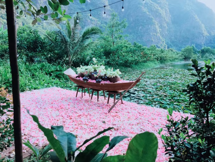 Các homestay ngắm mùa sen ở Ninh Bình ảnh 5