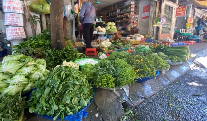 Giá rau xanh có loại tăng thêm, có loại giữ nguyên và không loại nào giảm.