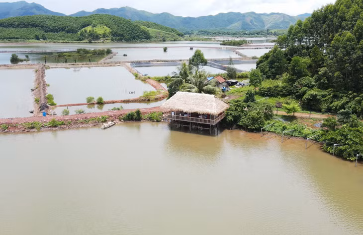 Khu sinh thái gia đình tại xã Hải Lạng (Tiên Yên).