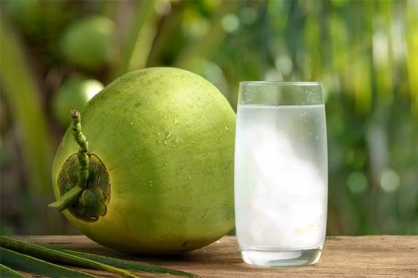 Nước dừa đem lại cảm giác mát tức thì sau khi uống. Ảnh minh họa: Tastingtable