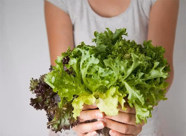 Bạn nên ăn nhiều rau trong mùa hè. Ảnh minh họa: Eatthis