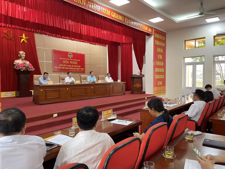 Hội nghị liên kết "6 nhà" về sản xuất, tiêu thụ na Đông Triều, tháng 6/2022.