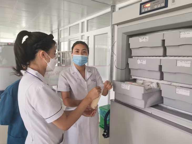 Các y, bác sĩ NHSM Bệnh viện Sản Nhi tỉnh chuyển sữa mẹ vào tủ cấp đông.
