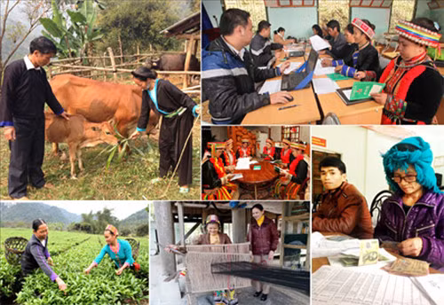 Bộ Nông nghiệp và Phát triển nông thôn hướng dẫn thực hiện hỗ trợ phát triển sản xuất trong lĩnh vực nông nghiệp