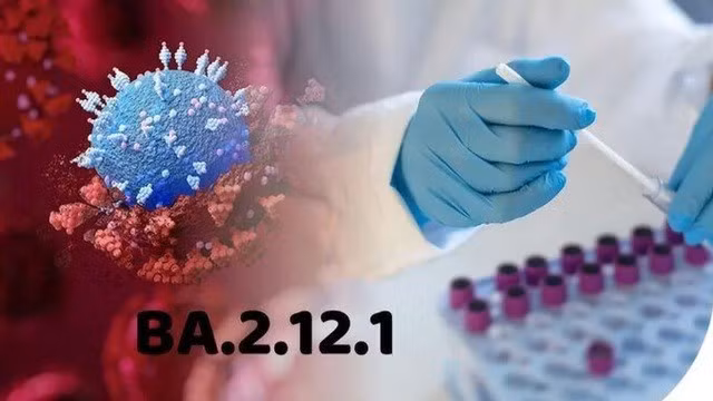 Triệu chứng ban đầu của biến thể phụ BA.2.12.1 thường giống với cảm lạnh như viêm họng, hắt hơi, sổ mũi. Omicron BA.2.12.1 thường chỉ gây ra triệu chứng nhẹ ở người đã tiêm vaccine COVID-19.