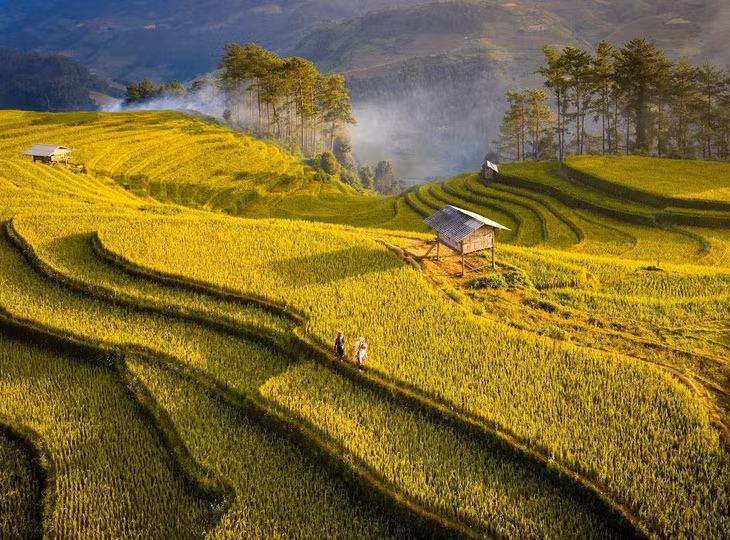 Bay cao ngắm vẻ đẹp Việt Nam ảnh 2